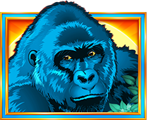 Congo Cash XL Gorilla symboli