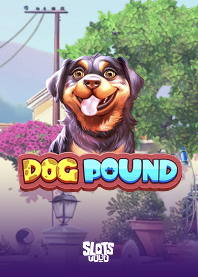 Dog Pound Slot arvostelu